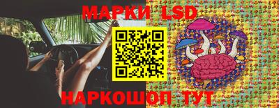 мдпв Жуковский