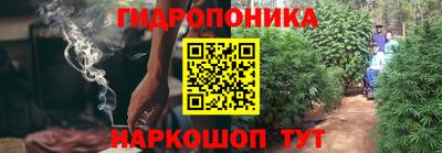 мдпв Жуковский