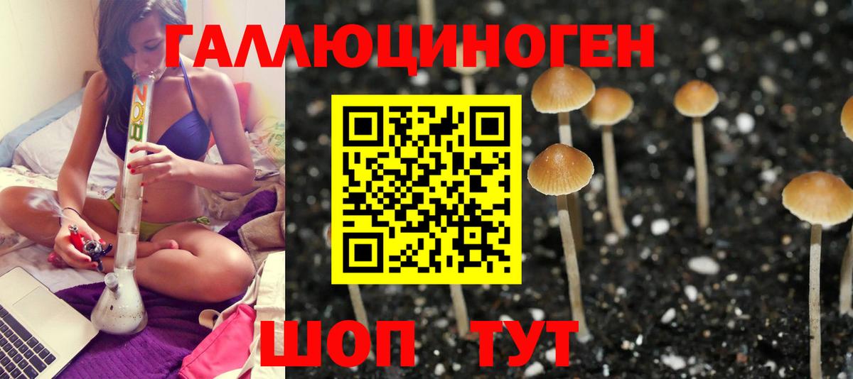 Псилоцибиновые грибы мицелий  Вход с VPN  Малоярославец 